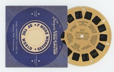 Buenos Aires Argentina 1944 Tan View-Master Single Reel 657