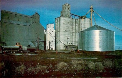 WHEAT STORAGE FACILITY, FARMING, CONDON, OREGON, VINTAGE POSTCARD (EN822)