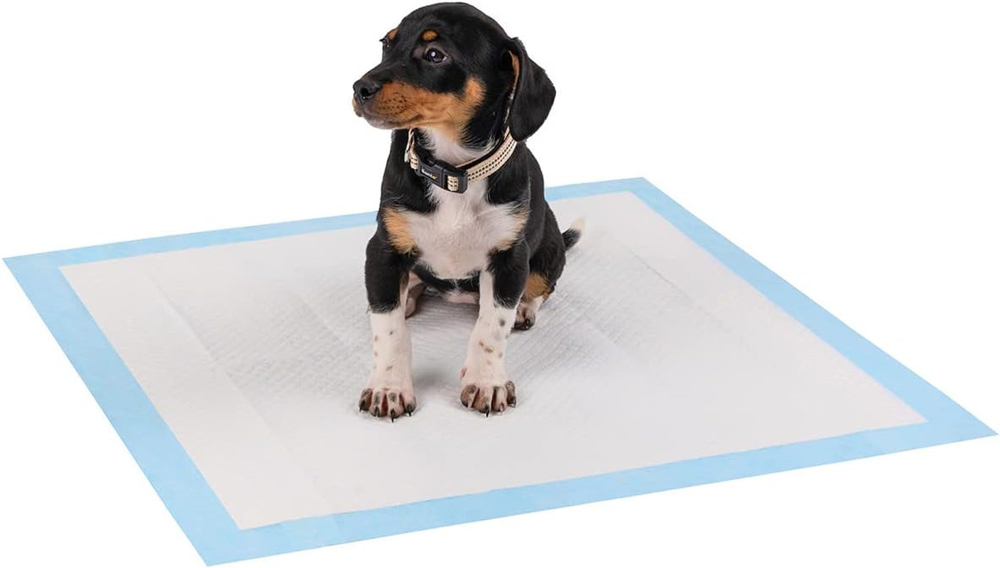 Pads Allenamento Cani con Strisce Adesive - Super Assorbenti 6 Strati