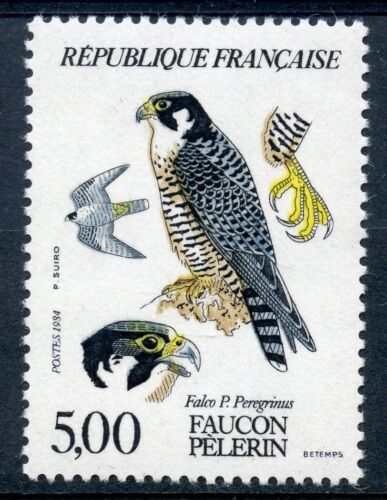 STAMP / TIMBRE FRANCE NEUF N° 2340 ** FAUNE FAUCON PELERIN - Photo 1/1