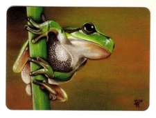 Beautiful Green Tree Frog  - Single Modern Wide Linen Swap Playing Card