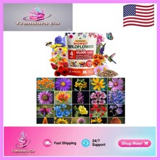 Flower Seeds Mix for Pollinators - 65,000 Heirloom Wildflower Seeds, 4 oz 107.96 per gallon