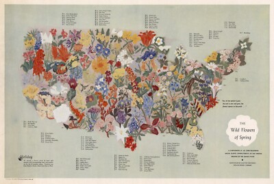 12298.Decor Poster.Vintage Interior wall design.U.S map  Wild flowers of Spring