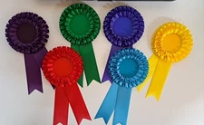 6 X2 TIER Political Party/ Schools/ Equestrian Blank  Rosettes. 