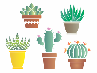 5) Garden Cactus Stencil Succulent Zebra Aloe Vera Saguaro Ball Barrel DIY  Sign | eBay