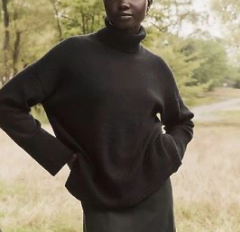 Jcrew turtleneck top