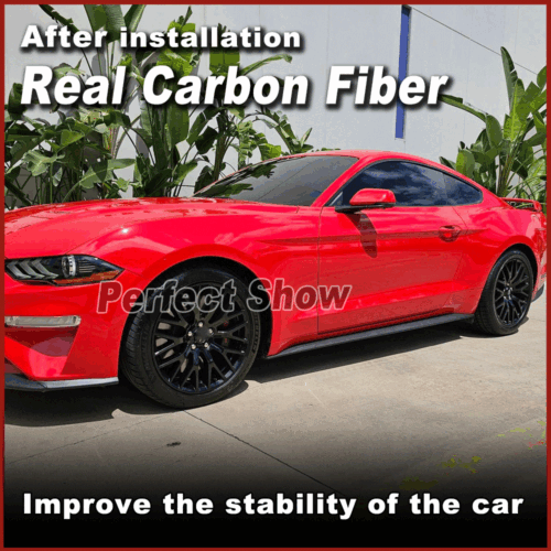 Carbon Seitenschweller Ansatz Cup Leisten Passt für Ford Mustang GT Mk6 2015-22 - Bild 2 von 10