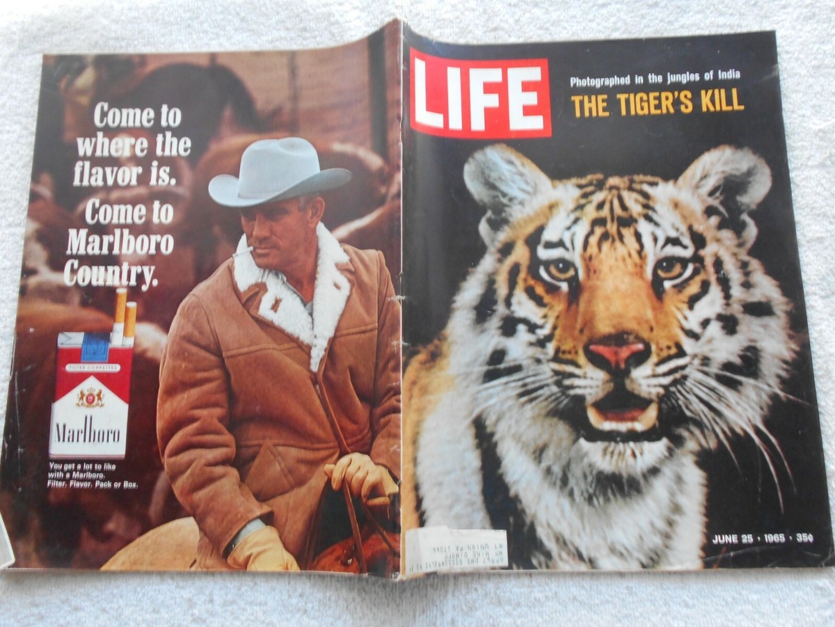 ca　Magazine　1965年 LIFE Magazine--JUNE 25,1965-THE TIGER'S KILL | eBay