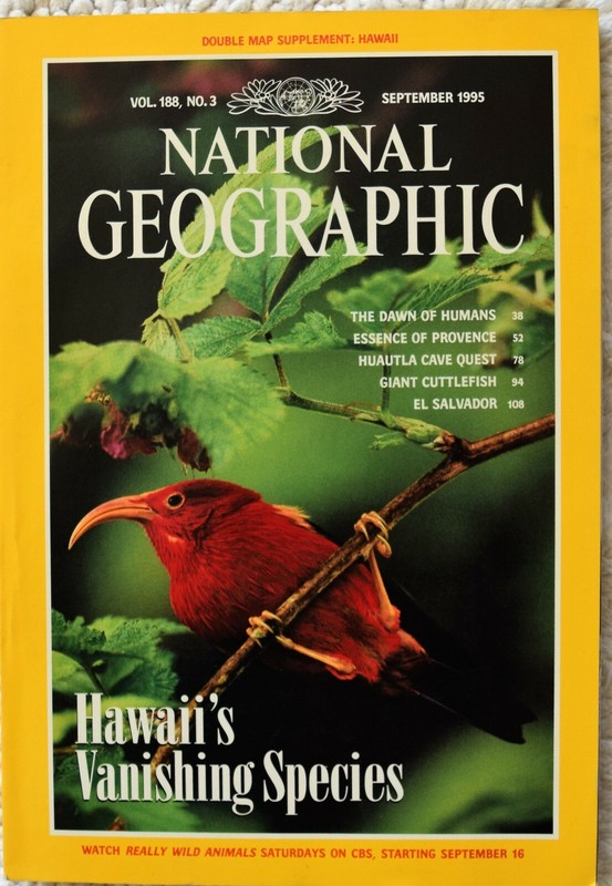 NATIONAL GEOGRAPHIC MAGAZINE - SEPTEMBER 1995 - Hawaii's Vanishing Species