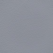 Mercedes Medium Ash Leather Dye