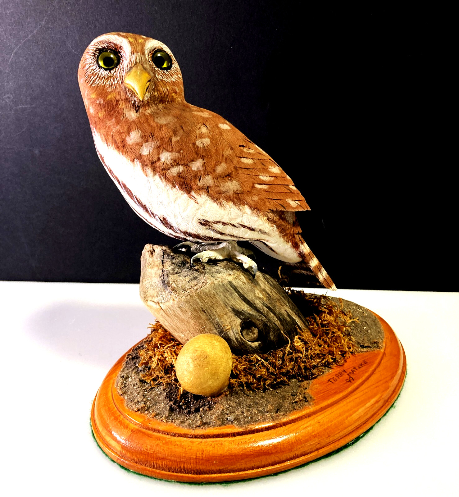 BLIND AWARD-WINNING MASTER CARVER Terry Matzke 7.5" Ferruginous Pygmy Owl