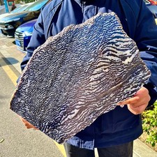 4.98LB  Zebra Marble End Plate Cabbing Lapidary Carved Spiritual Chakra Utah