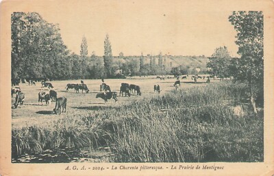 16 LA PRAIRIE DE MONTIGNAC 69181