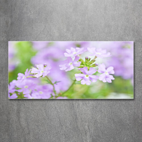 Acrylglas-Bild Wandbilder Druck 120x60 Deko Blumen & Pflanzen Eisenkraut - Bild 1 von 6