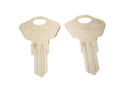 Sentry Safe 3e2 Replacement Keys Cut Keys Will Work Out Of The Envelope Check Yo