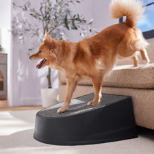 pet steps for Medium/ large dogs