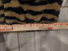 Foto 13 di 13