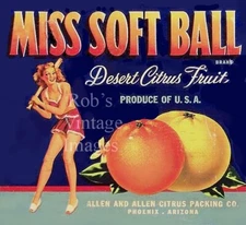 Phoenix Arizona Miss Softball Orange Citrus Fruit Crate Label Art Print    