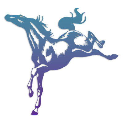 Horse Stallion Pony - Decal Sticker - Multiple Patterns & Sizes - ebn7531