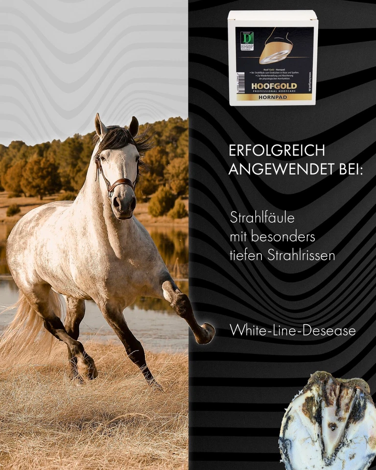 Hoofgold Hornpad per cavalli - in caso di marciume del getto e crepe profonde - Immagine 2 di 4
