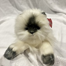 Angel 20TH Anniversary 2006 Himalayan Cat TY Beanie Babies Plush NWT RARE