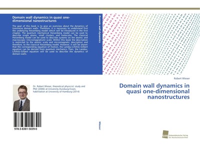Robert Wieser | Domain wall dynamics in quasi one-dimensional nanostructures