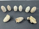Lot of 9 Civil War Dropped & Fired Bullets Assorted Calibers Found In Central VA