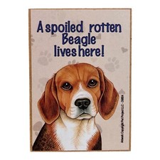 A Spoiled Rotten Beagle Lives Here Magnet 2.5" x 3.5" Pack of 2