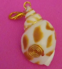 Gold Wire Wrapped Sea Shell Beach Ocean Clip Charm Pendant 4 Bracelet/Necklace
