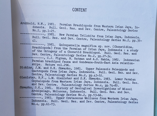 Geoscientific Data Package, Irian Jaya, Indonesia Geological, Rare geology - Picture 12 of 13