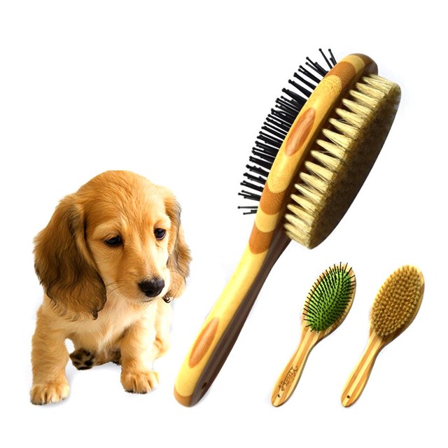 dog bristle