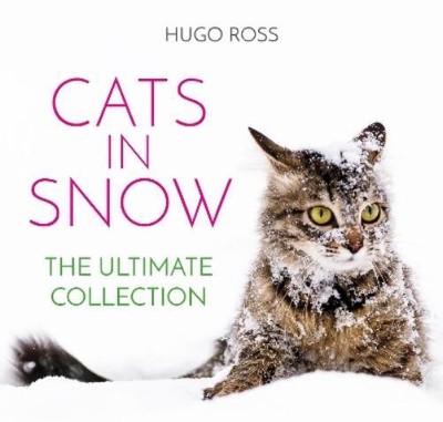 Hugo Ross Cats in Snow (Hardback)