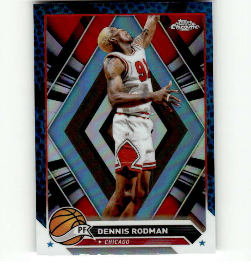その他 precious  l  gems dennis rodman /50 Goldin