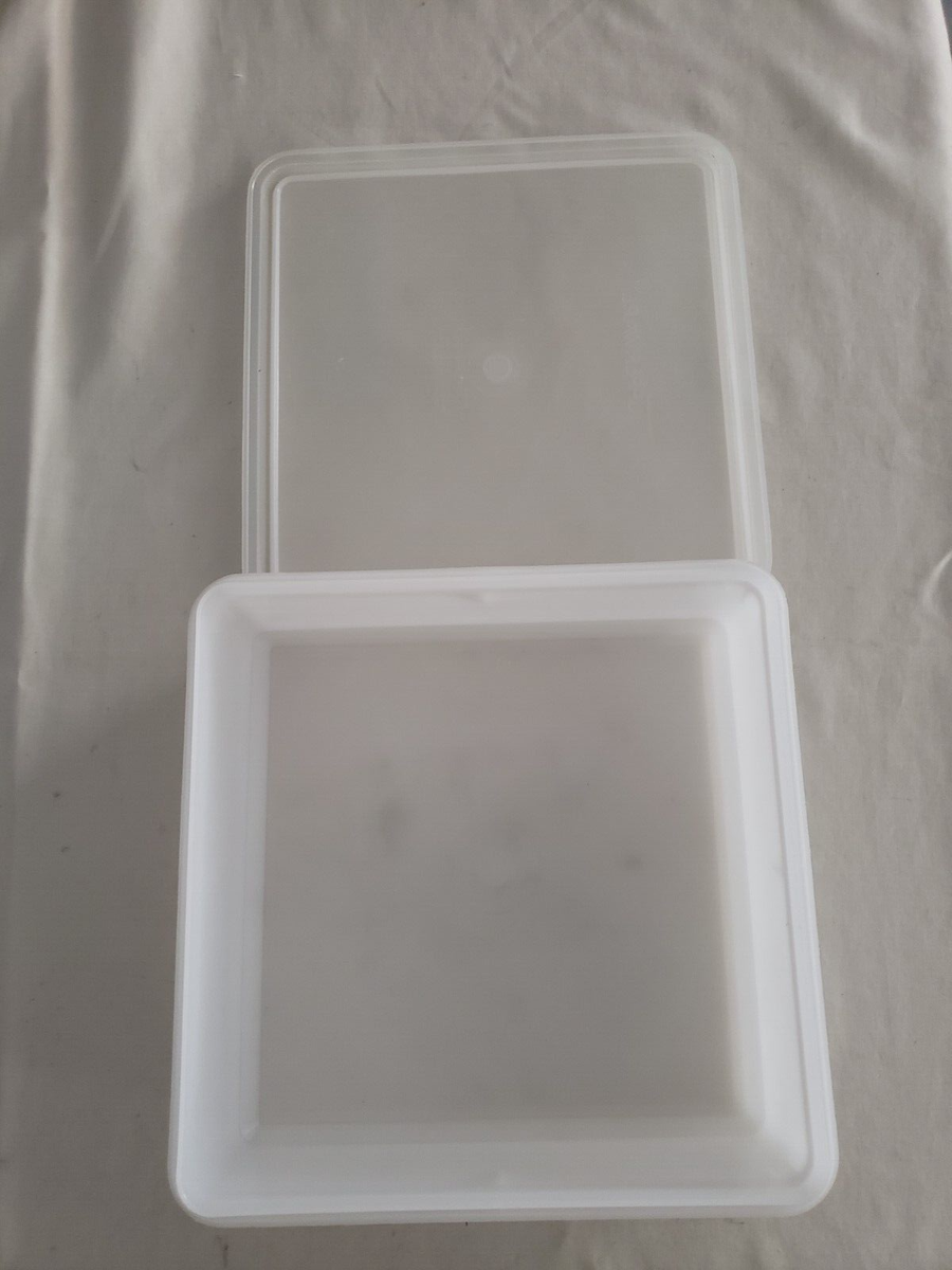 VTG Tupperware Snack-Stor Storage 9x9x3 Square Container 514-3 w