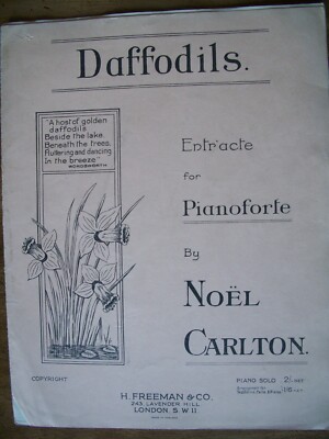 Narzissen, Entr'acte für Pianoforte von Noel Carlton
