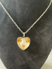 Guinea Pig or Hamster Silver Heart Alloy 24”Necklace Pendant Jewelry