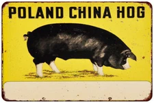 Poland China Hog Vintage LOOK Reproduction Metal sign wall art