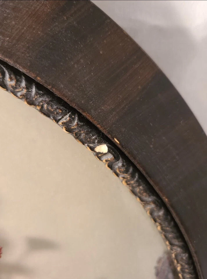 Marco de fotos de vidrio cúpula de burbujas de grano de madera vintage floral convexo arte de hierba y semillas Foto 4 de 4