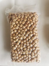 Haselnuss Geröstete Haselnüsse Frisch 2025 Türkei Trabzon