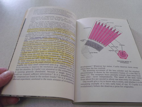 COLLECTIBLE 1966 EYE AND BRAIN THE PSYCHOLOGY OF SEEING SOFTCOVER BOOK - Imagen 5 de 6