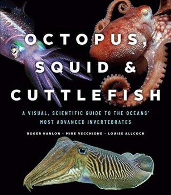 Octopus, Squid, and - Hardcover, by Hanlon Roger; Vecchione - Very Good