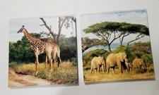 SET/2 ELEPHANTS & GIRAFFES Safari Jungle Serengeti Trees 12X12 CANVASES WALL ART