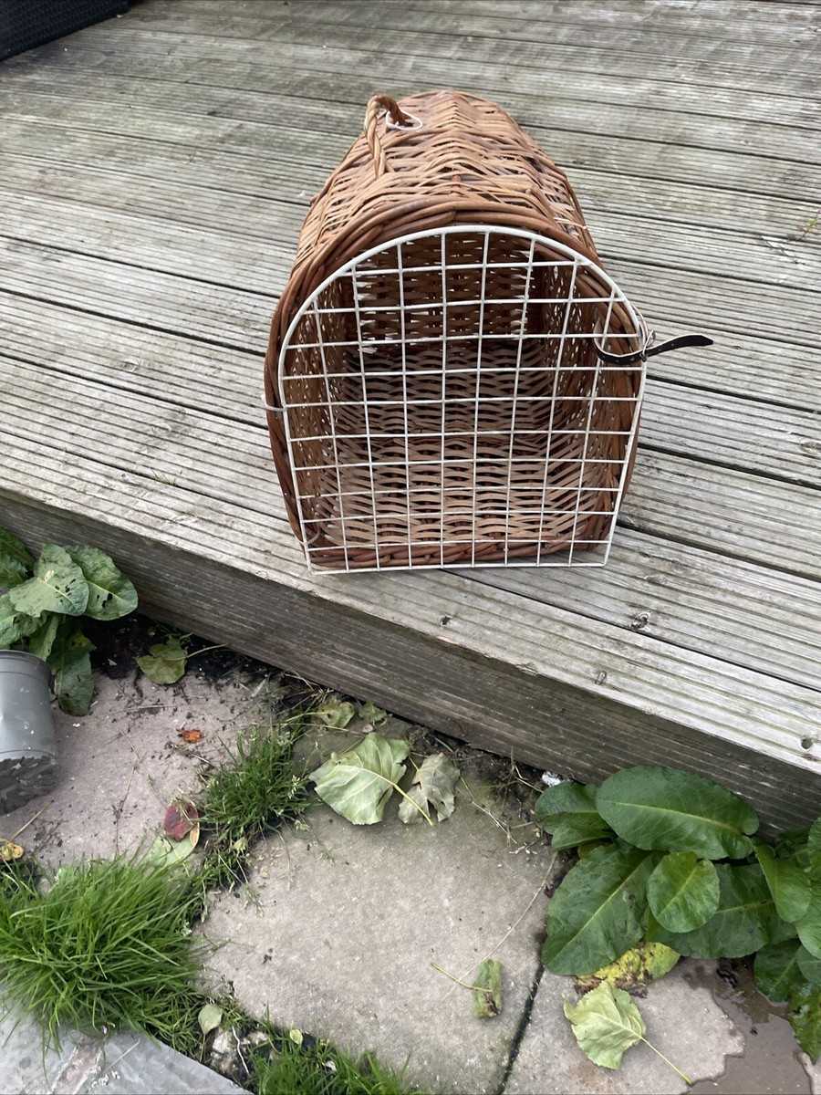 Vintage Wicker Basket Pet Animal Carrier- Cat/ Small Dog- Natural Woven  Wicker