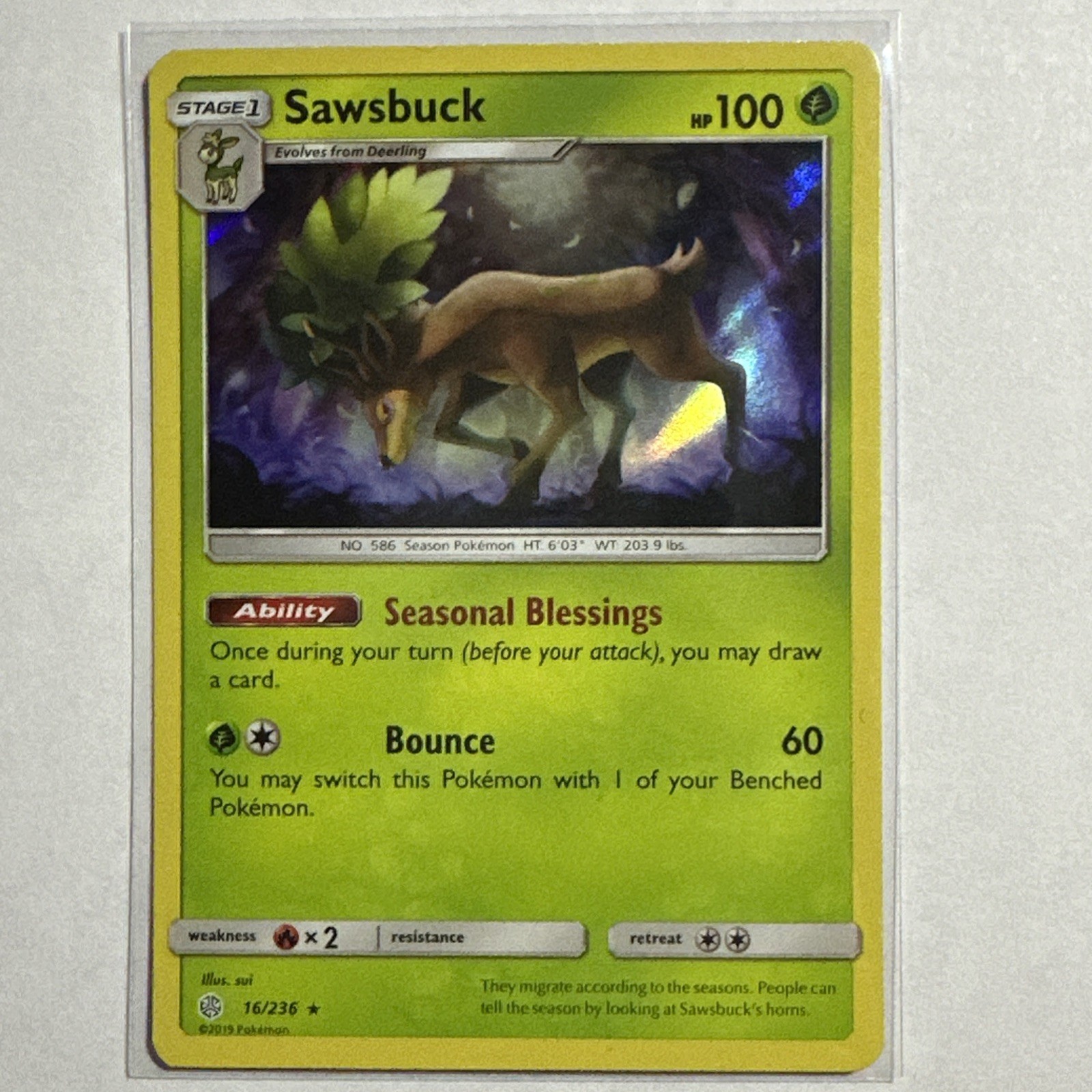 Sawsbuck 16/236 Reverse Holo Card Sun & Moon - Cosmic Eclipse Pokemon TCG NM