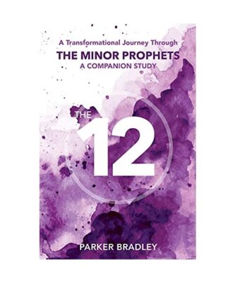 The Twelve: A Transformational Journey Through The Minor Prophets A Companion St