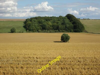 Foto 12x8 Weizenfeld, Wexcombe Brunton\/SU2456 um 2014