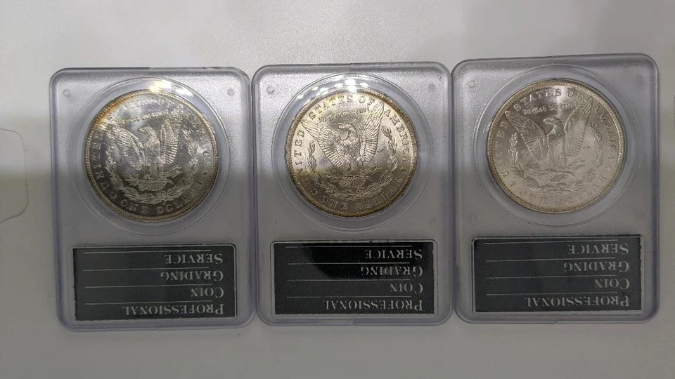 Lot of 3 PCGS MS 63 Morgan Silver Dollars OGH Uncirculated Rattlers - Image 2 of 4