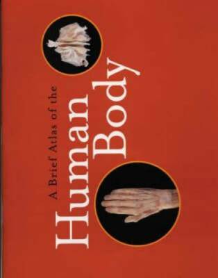 A Brief Atlas of the Human Body - Paperback By Hutchinson, Matt - GOOD