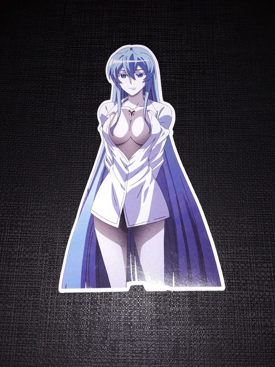 Esdeath Akame Ga Kill Sticker - Esdeath Akame Ga Kill - Discover