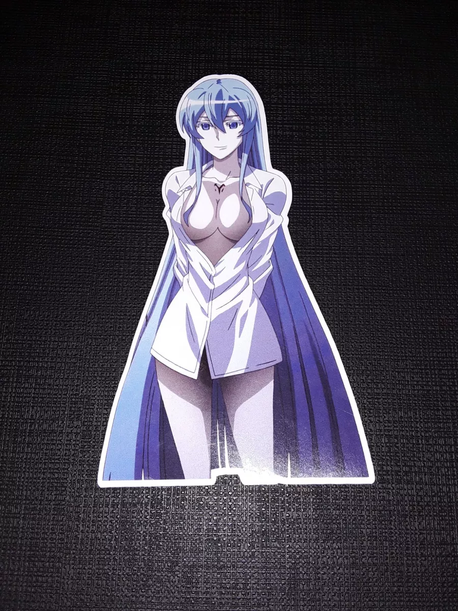 Akame ga kill The Anime With Esdeath in it 